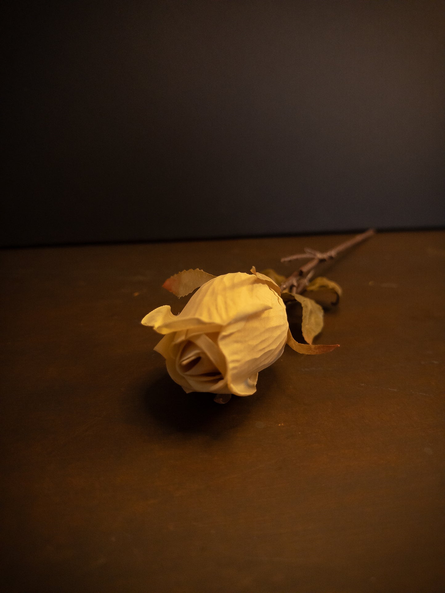 Heirloom Rose Stem