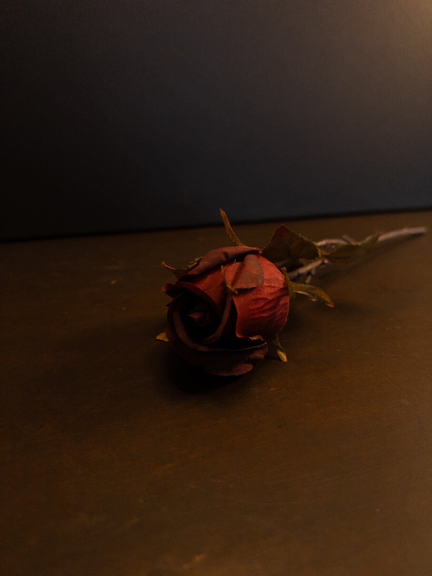 Heirloom Rose Stem