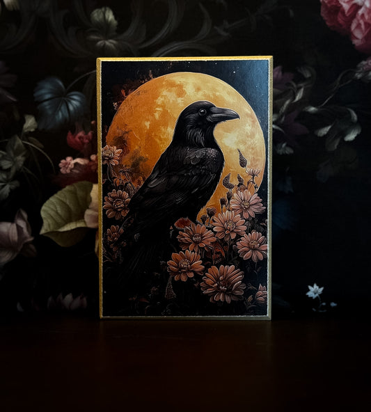 Nocturne in Bloom