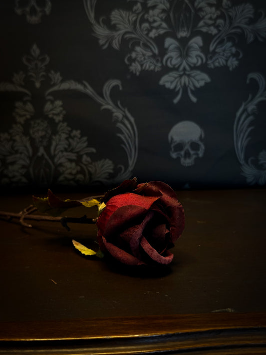 Heirloom Rose Stem